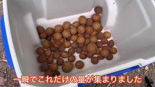 一瞬でこれだけの量が