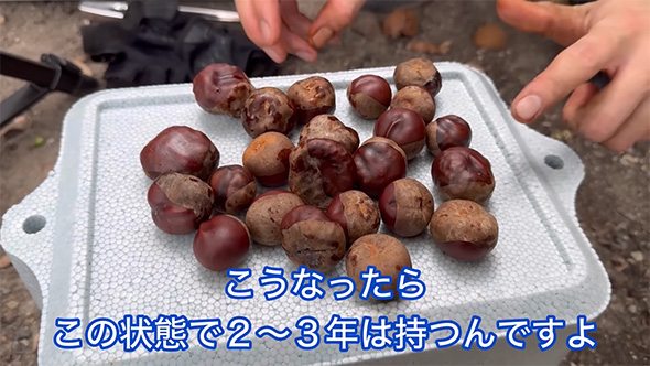 こうなったらこの状態で