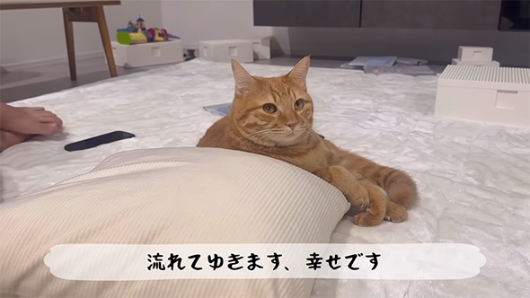 流れてゆきます