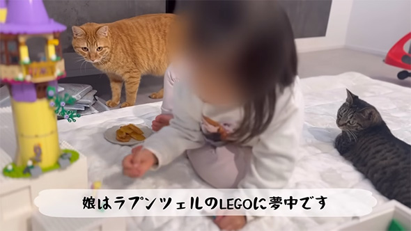 娘はラプンツェルのLEGOに
