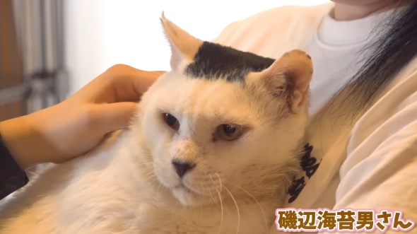 話題の磯辺海苔男さん