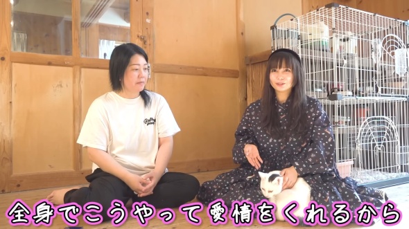 猫の魅力を語る