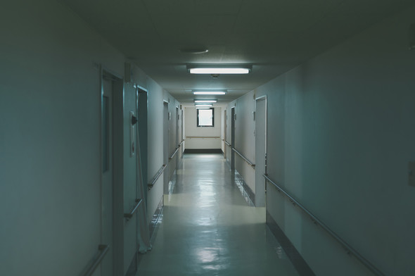 殺すためにアニサキスを持ち帰ってきた人