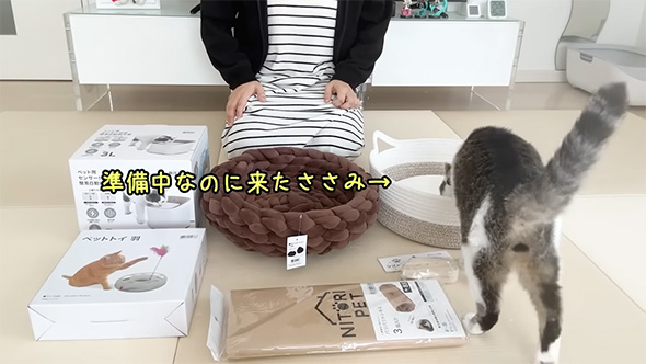 準備中なのに来た