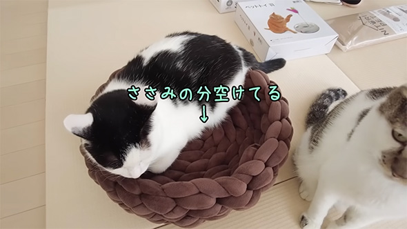 ささみの分空けてる