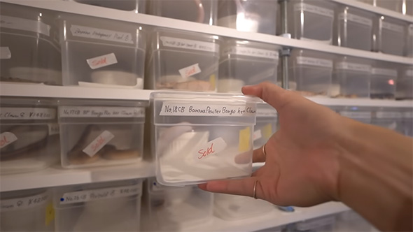 白ヘビが入った容器を持つ