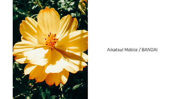 おもちゃのカメラで作品撮り