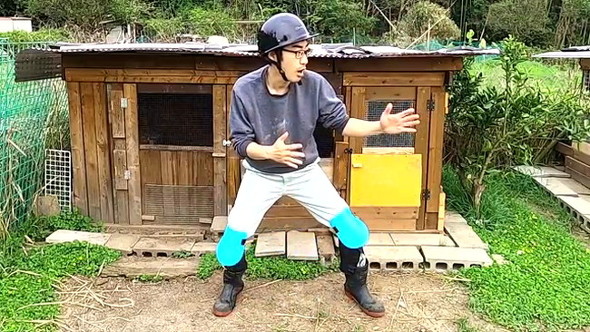 凶暴なニワトリ