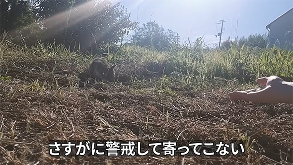 さすがに警戒して