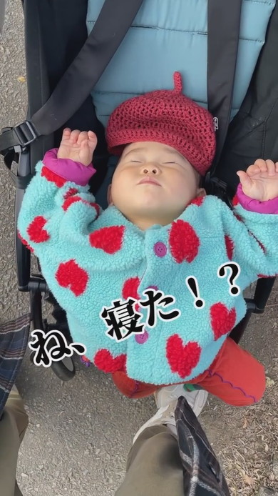 ベビーカーを拒絶する赤ちゃん