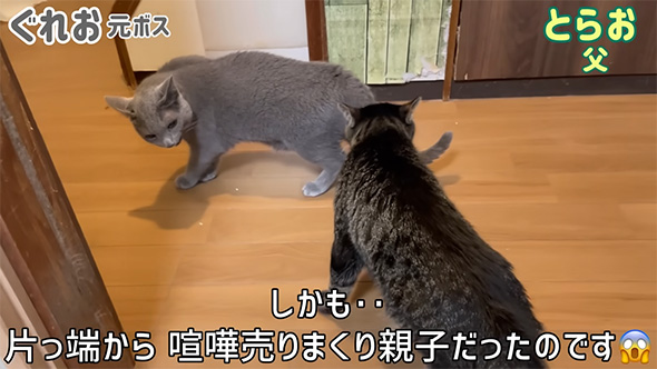 ケンカ売りまくり親子