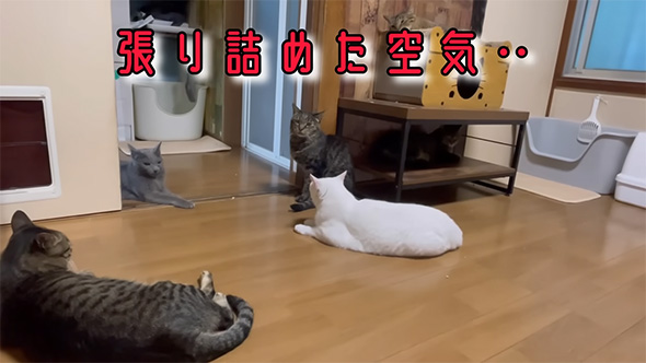 はりつめた空気