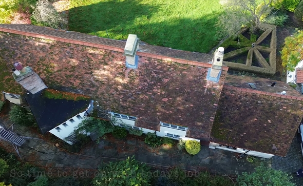 コケが生えた屋根の清掃1