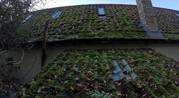 コケが生えた屋根の清掃3