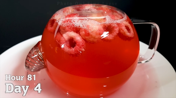 水に漬けたラズベリー2