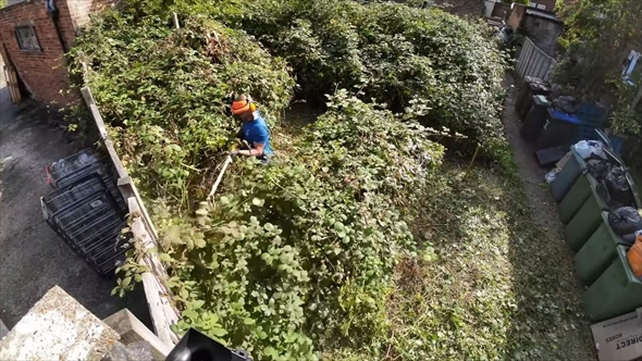 老夫婦のイバラが生い茂った庭を大掃除