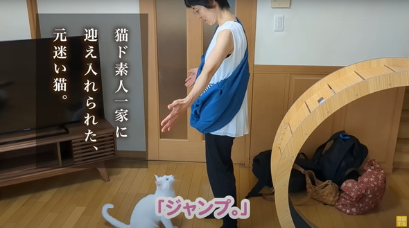 赤ちゃんだと思ってるネコ