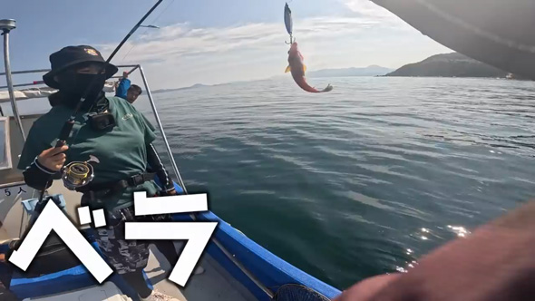 夫婦 妻 オフショア 釣り アタリ 船上 パニック 離島 クエ あら 高級魚