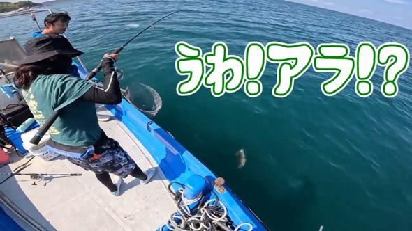 夫婦 妻 オフショア 釣り アタリ 船上 パニック 離島 クエ あら 高級魚