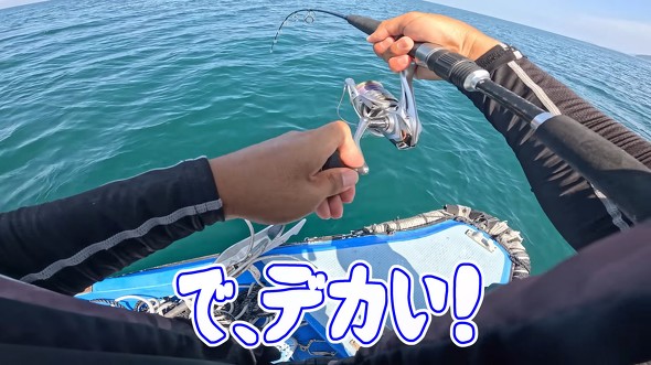 夫婦 妻 オフショア 釣り アタリ 船上 パニック 離島 クエ あら 高級魚