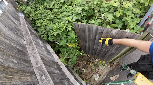 庭の掃除と改修