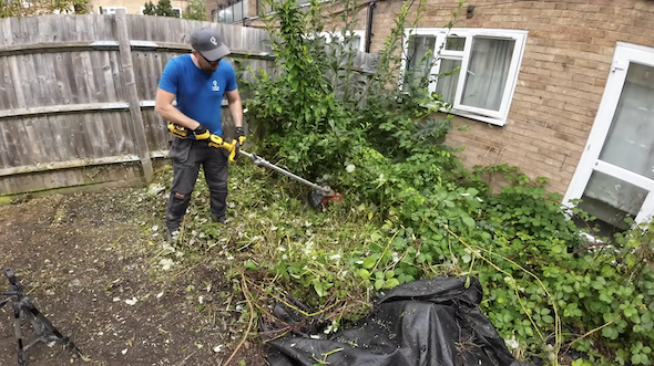庭の掃除と改修
