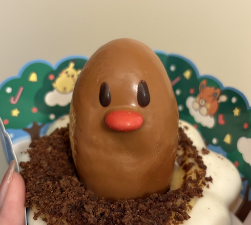 買ってきたポン・デ・ディグダ