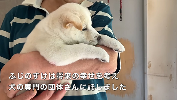 ふじのすけは将来の幸せを考え