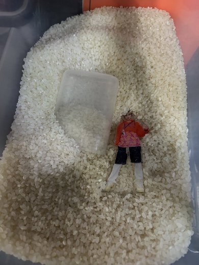 お米の中に入った許豊凡さんのアクスタ