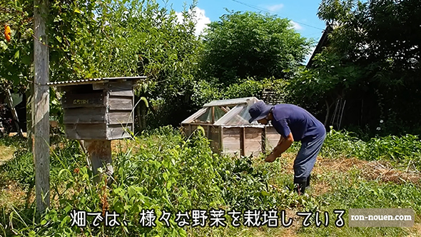 3坪のスモールハウスで豊かに暮らす