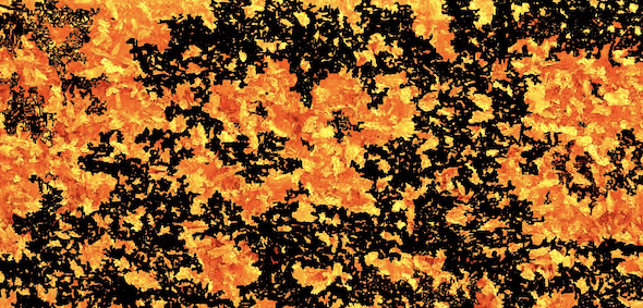 ビッグカツの表面を加工