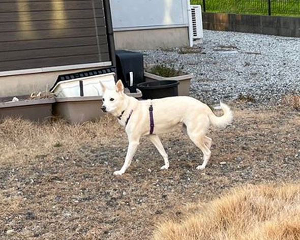 もしや、豊穣の神……