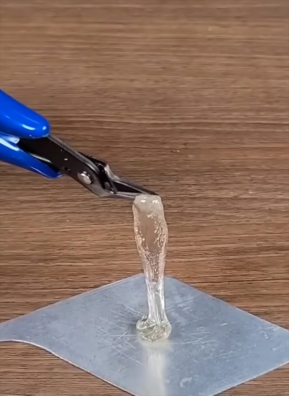 生卵のサンプル