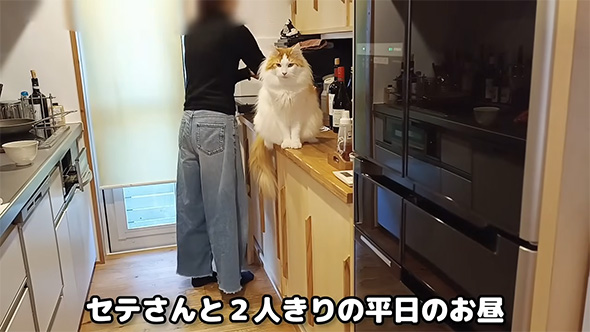 セテさんとふたりきりの