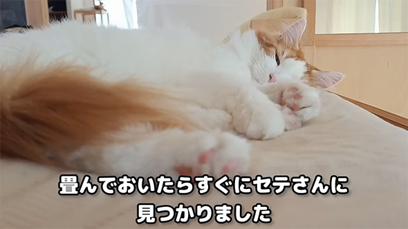 畳んでおいたらすぐに