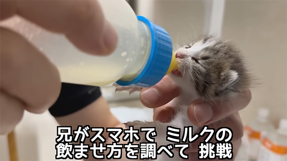 兄がスマホでミルクの