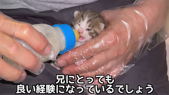 兄にとってもいい経験に