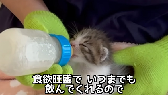 食欲旺盛でいつまでも