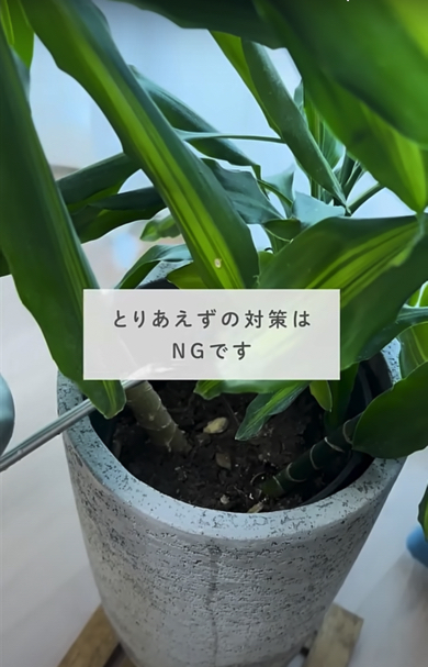 取りあえずの対策はNG