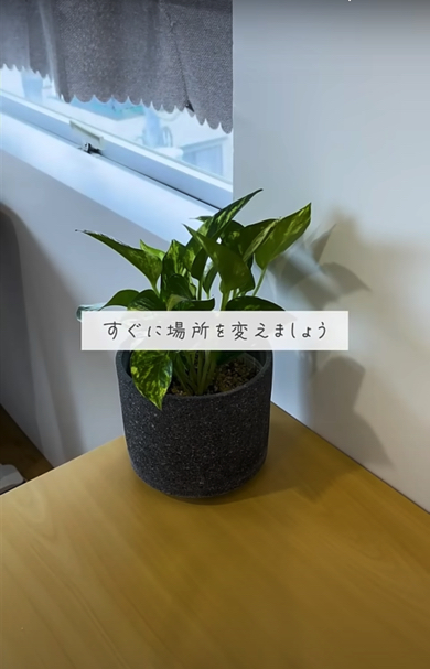 季節によって気温差がつかないようにする