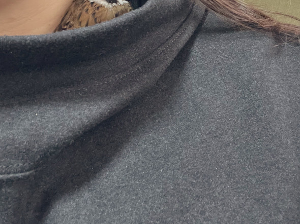 パーカーと首の隙間に入るスズメ