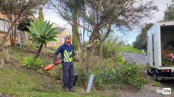 スッキリした前庭