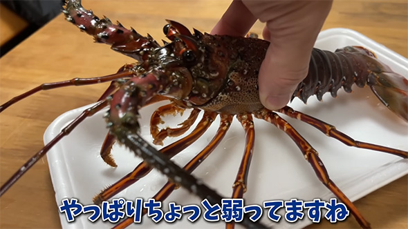 やっぱりちょっと