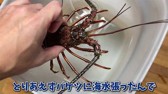 とりあえずバケツに