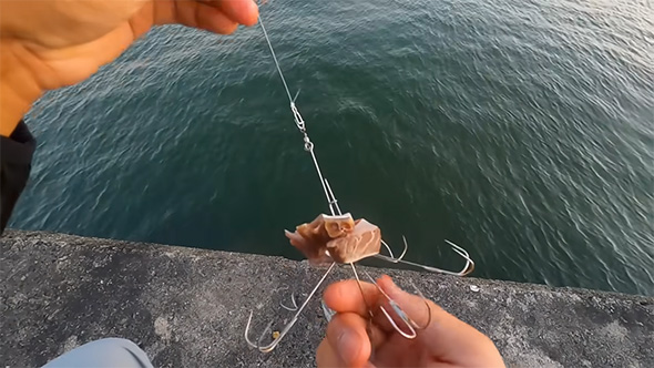 カツオを巻いた仕掛け