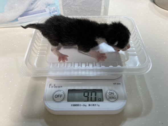 体重測定の様子