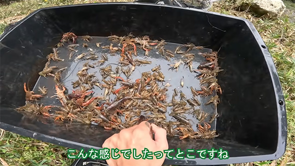 こんな感じでしたってとこです