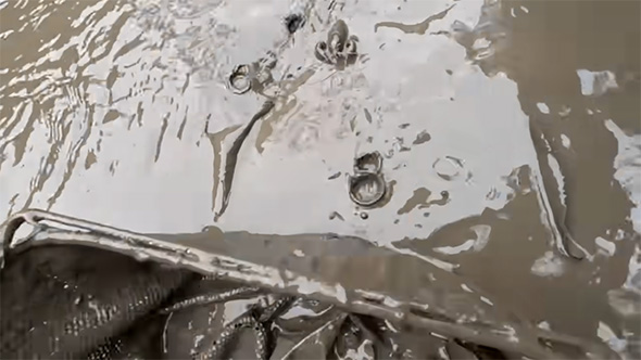 泥の中にザリガニ