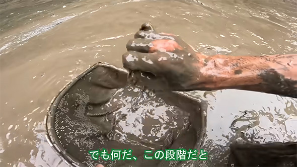 でも何だこの段階だと