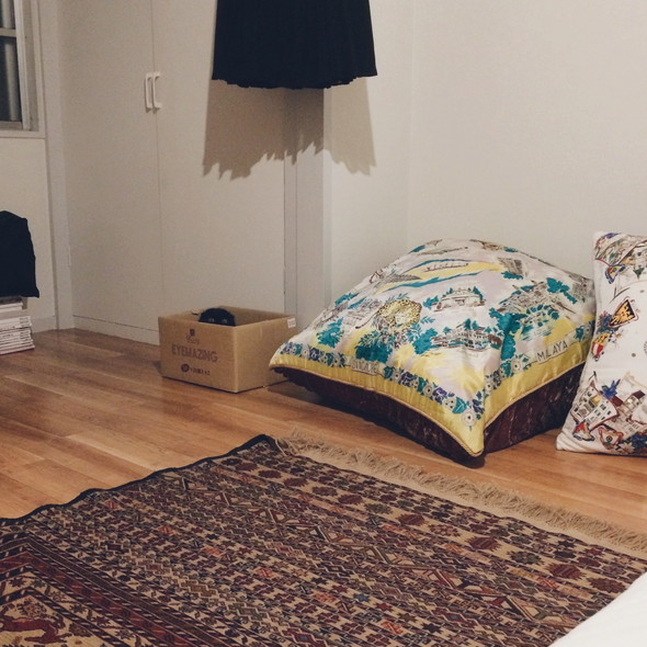 段ボールの中にいるにゃんこ